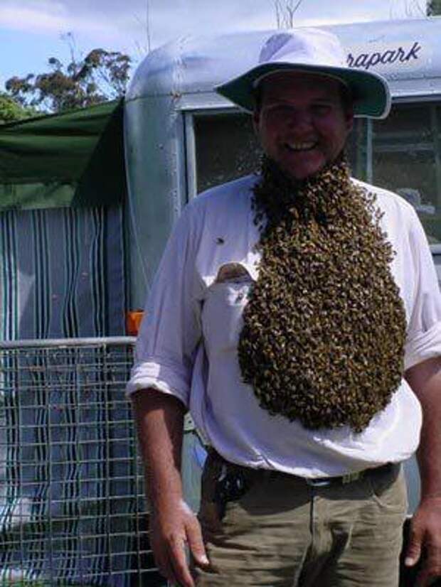 bee_20