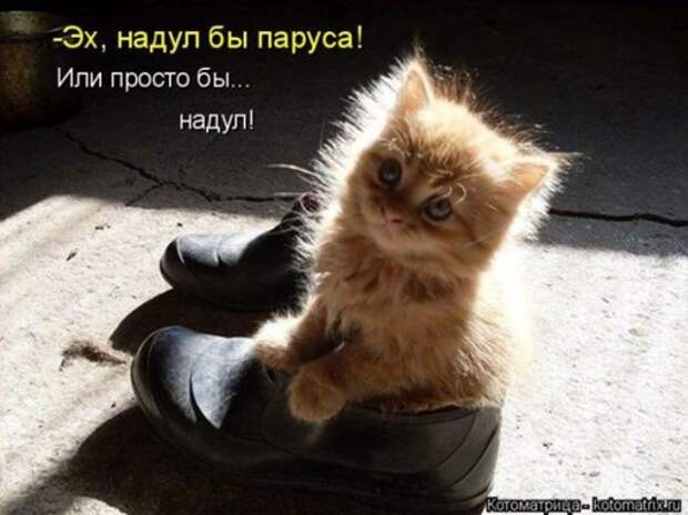 9ce80dc03deafb35831c4d4ad12_prev