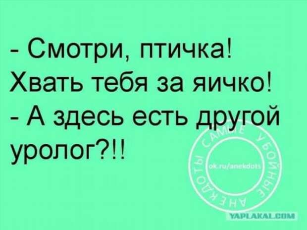 Неадекватный юмор из социальных сетей. Подборка chert-poberi-umor-chert-poberi-umor-07440616062020-3 картинка chert-poberi-umor-07440616062020-3