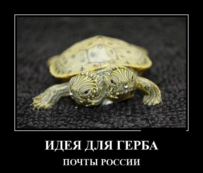 Демотиваторы №1061 (30 фото)