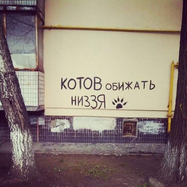 Когда надписи на стенах смотрят прямо в душу надпись, стена, юмор