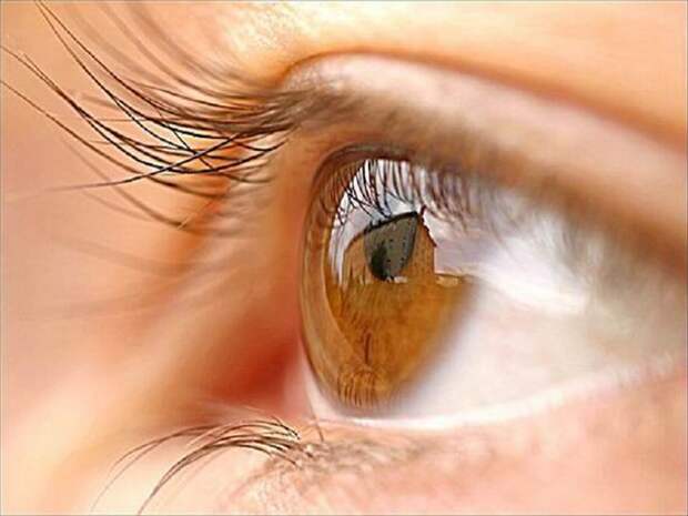 Народные средства для лечения зрения