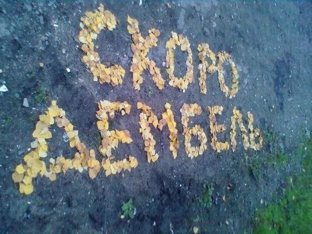 Армейские приколы с оттенком дембельнутости Армейские приколы с оттенком дембельнутости