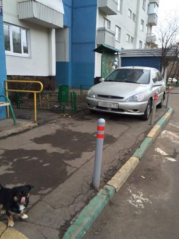 Мудакам даже столбики не помешают. Мудакам даже столбики не помешают. авто, автохам, быдло, парковка, хамство