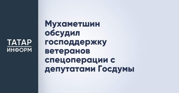 Мухаметшин обсудил господдержку ветеранов спецоперации с депутатами Госдумы