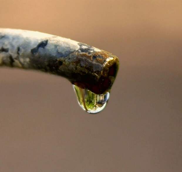 Мировые запасы пресной воды — видно ли дно?