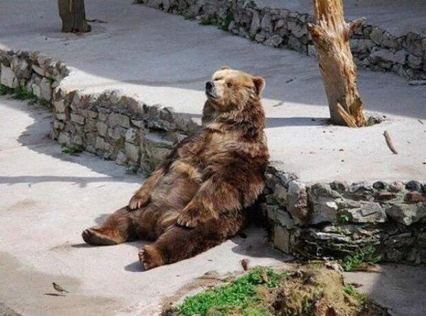 Позитивные фотографии
