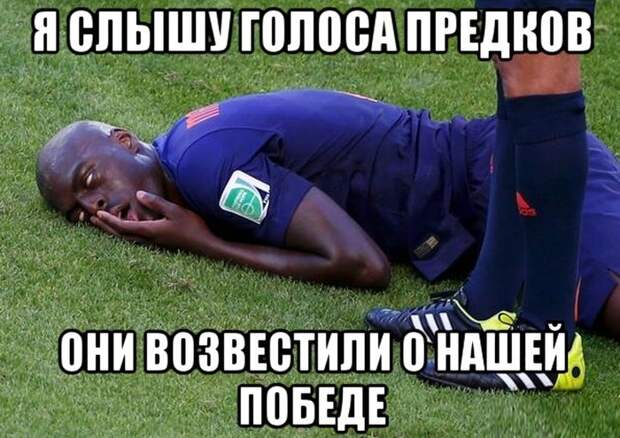 Смешные картинки с подписями катинки, прикол, юмор