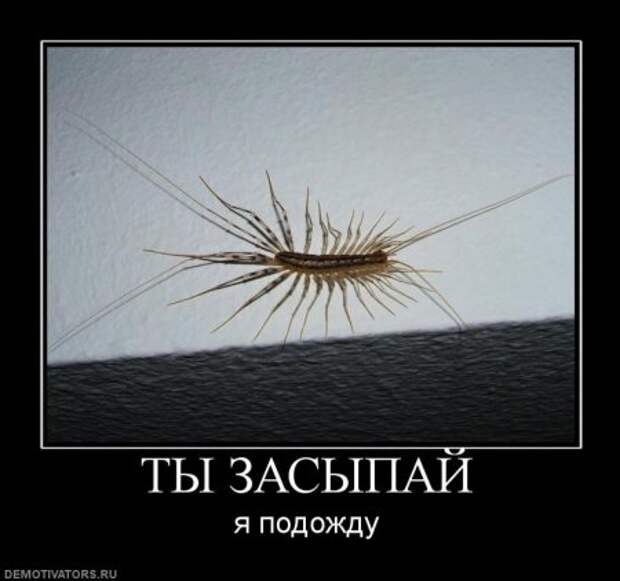 Демотиваторы смешные прямо тут и сейчас!