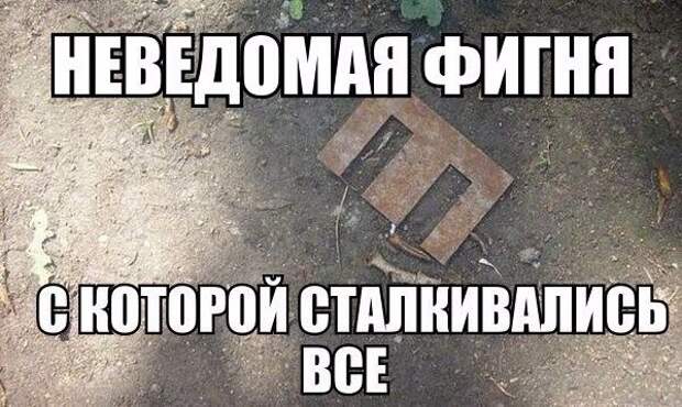 Смешные картинки с надписями прикол, юмор