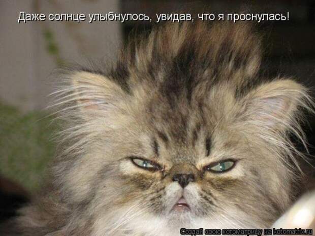 Мысли вслух :)