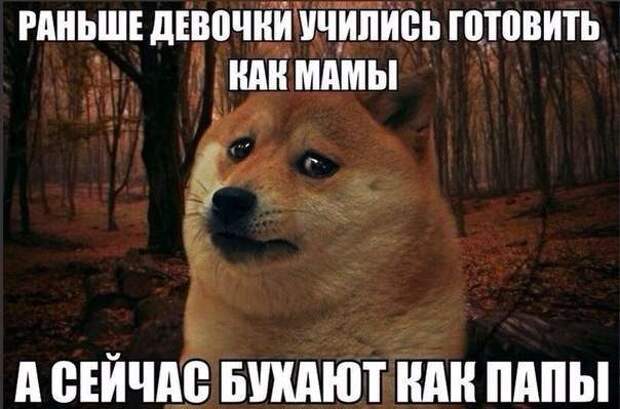 Картинки со смешными надписями Картинки со смешными надписями