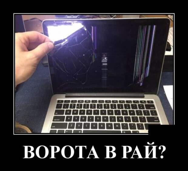 Демотиваторы (30 фото)