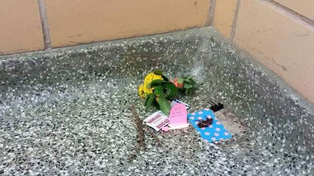 мемориал мертвому таракану, студенты устроили мемориал мертвому таракану, таракан Рози