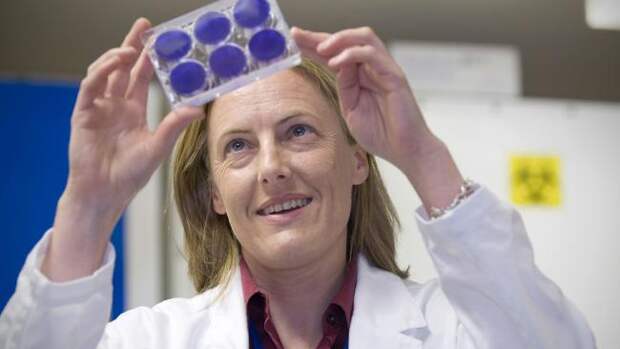 6bb8743328ee96e6ae81044d6ffc5a27