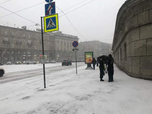 В Петербурге посоветовали жаловаться на снежные остановки в ГАИ