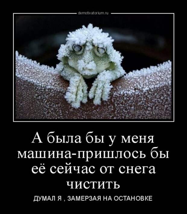 Свежие демотиваторы (16 шт)
