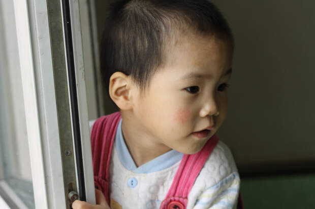 The Wu's Photo Land/CC BY 2.0