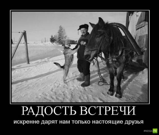 Демотиваторы на июнь, часть 13 (30 фото)