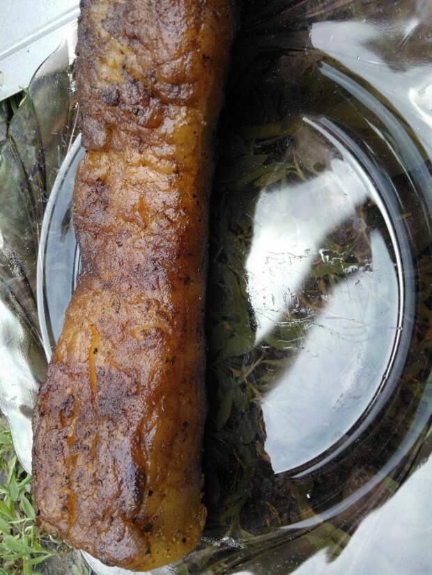 Каша из топора? Нет, коптильня... из ничего! Каша из топора? Нет, коптильня... из ничего! вкуснятина, дома, доступно, коптильня, копчение, мясо, отдых, своими руками