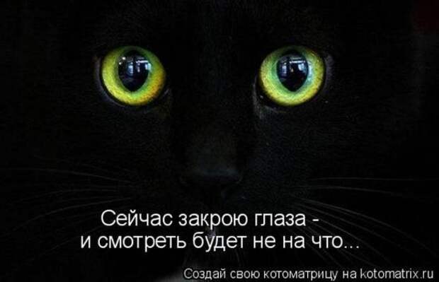 Котоматрицы(картинки с надписями)