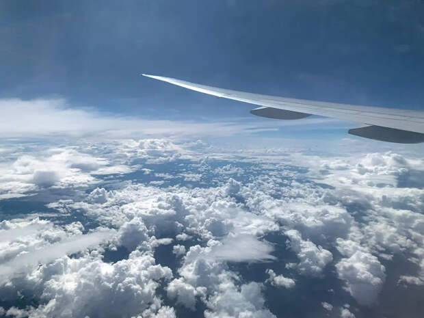 С 1 марта изменятся правила авиаперевозок. Права пассажиров улучшат