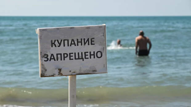 Эколог Витишко: Анапа не готова принимать туристов, мазута еще достаточно