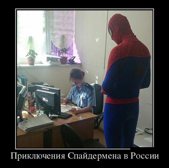 Демотиваторы (30 фото)