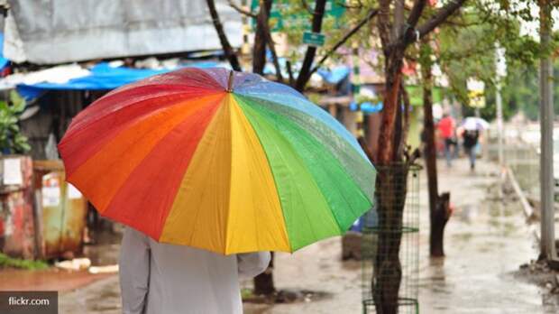 Сотни геев с радужными зонтиками заблокировали Раду