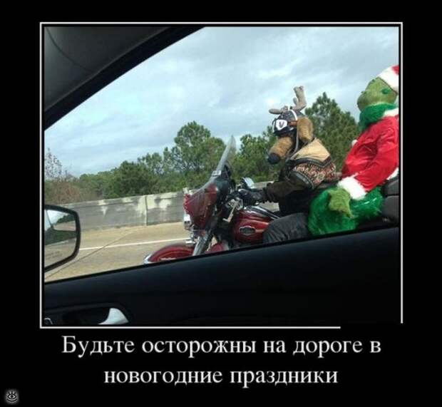 Демотиваторы на 1 января 2016 года 8