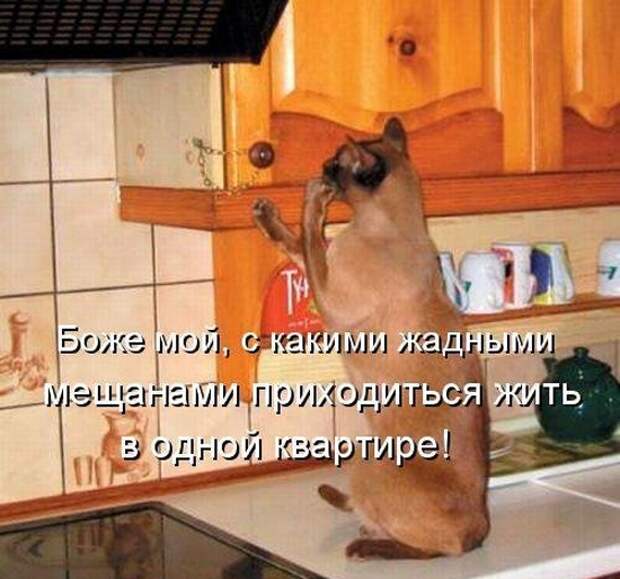 Давайте улыбаться вместе :)
