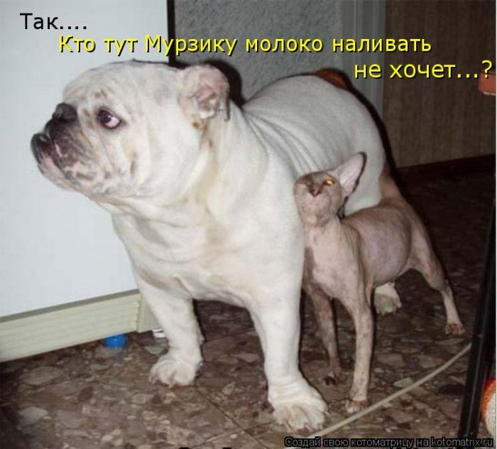 Мысли вслух :)