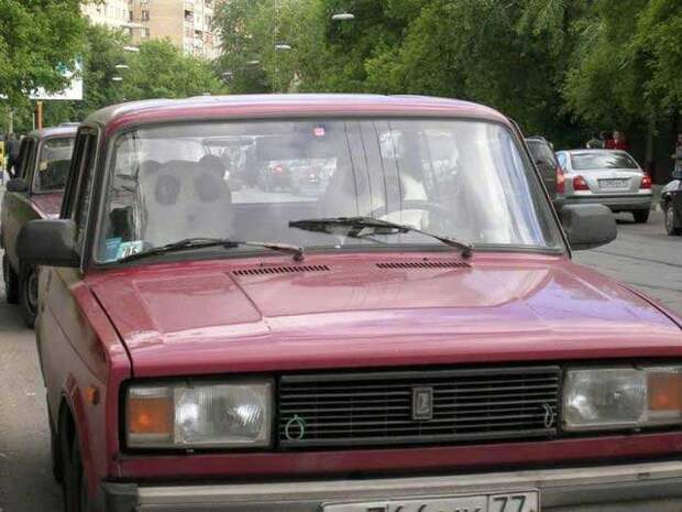 Такое может быть только в России (65 фото)