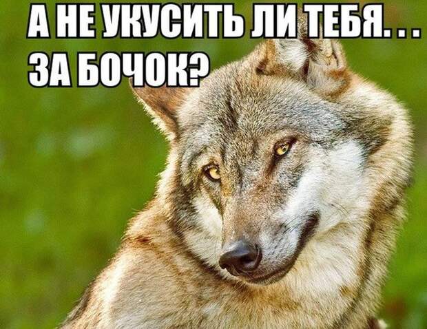 Прикольные картинки (95 фото)