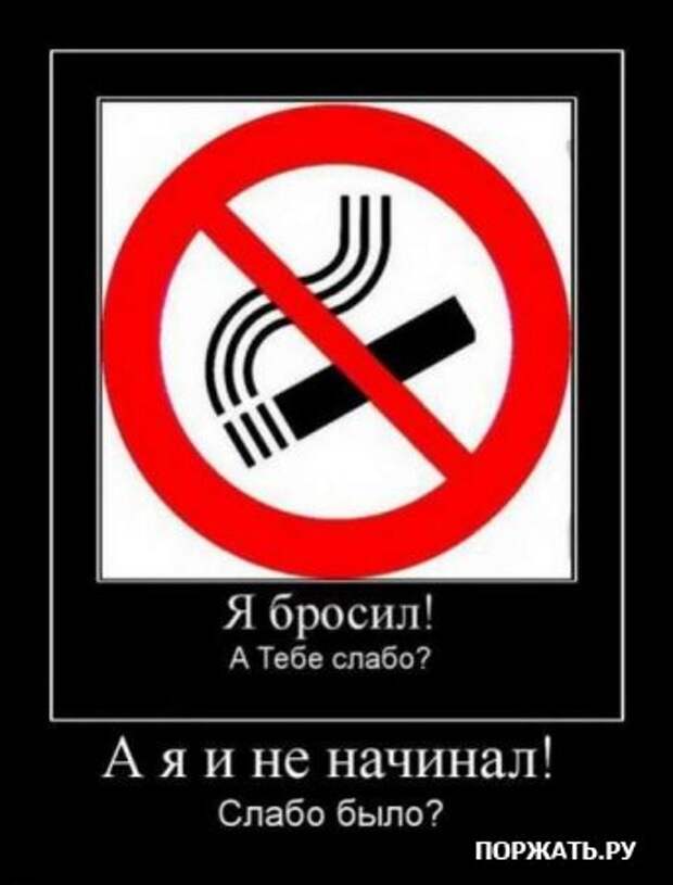 Демы как они есть
