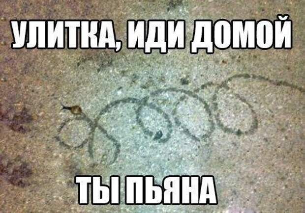 Прикольные фотомемы для хорошего настроения (35 шт)