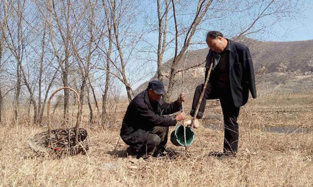 Каждый день друзья садят деревья.