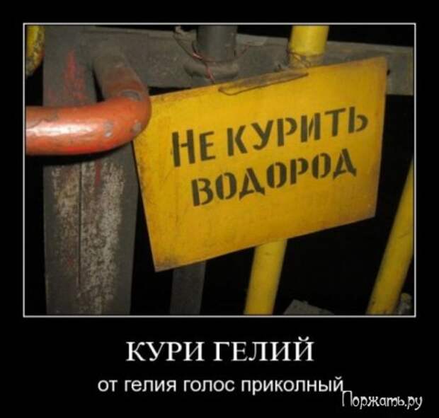 Димативаторы (21 фото)