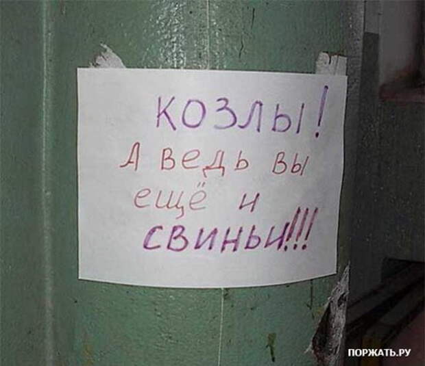 Картинки Прикольные :) (24)