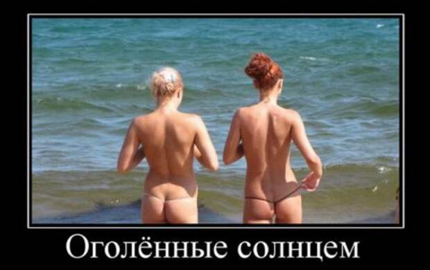 Веселые картинки демотиваторы.