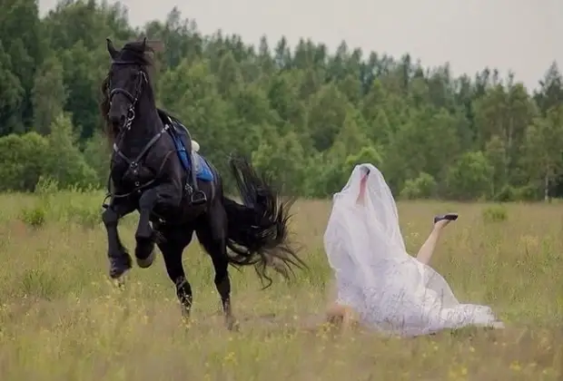 Настоящий конь остановил женщину на скаку) свадьба, фото, юмор