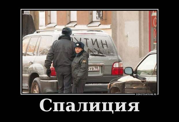 Спалиция демотиватор, юмор