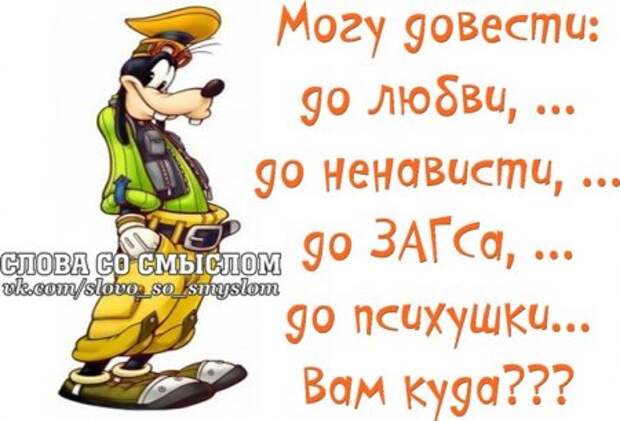 Веселые цитаты в картинках.