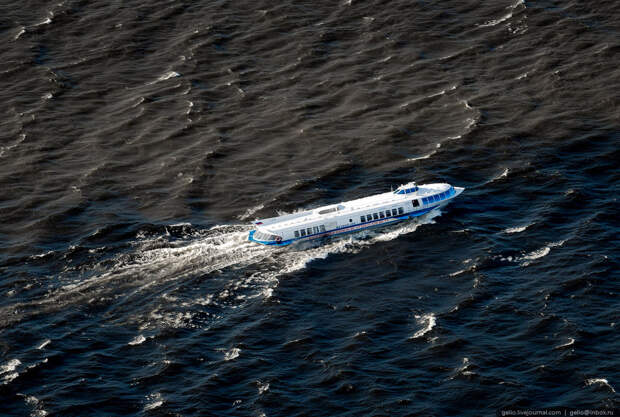 «Метеор» до Петергофа