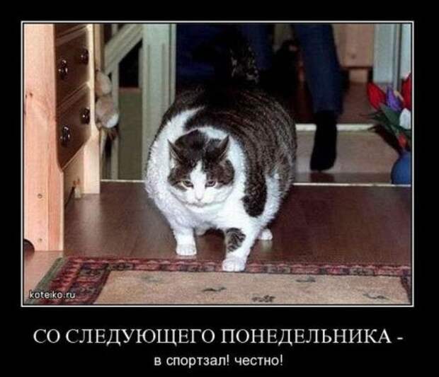 Демотиваторы ржачные.