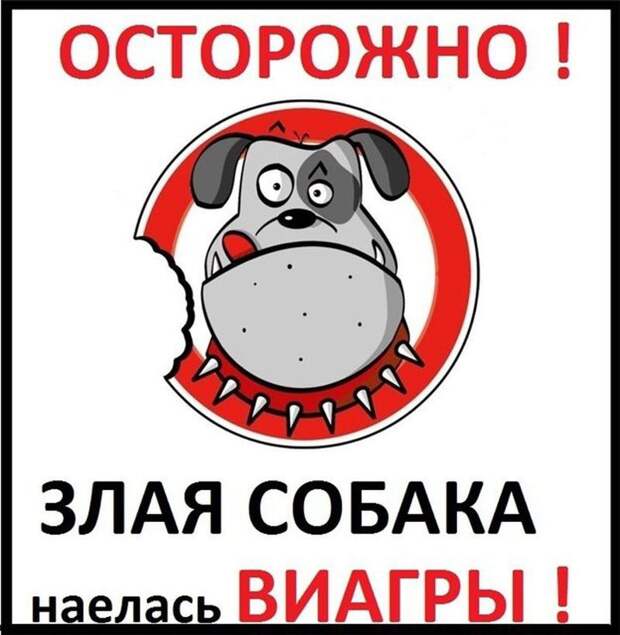 Таблички, которые сразу убеждают прикол, юмор