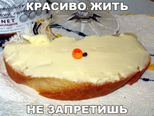 Прикольные фотомемы для хорошего настроения (31 шт)