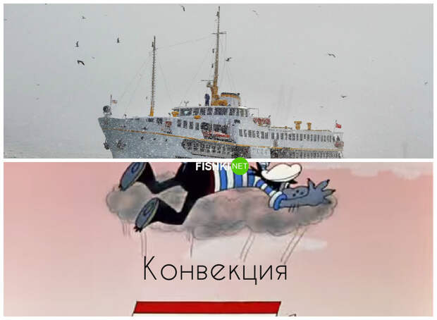 Почему птицы преследуют корабли живая природа, законы в действии, физика