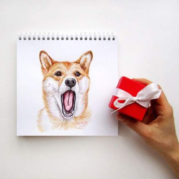 Невероятно реалистичные рисунки собак (12 работ)
