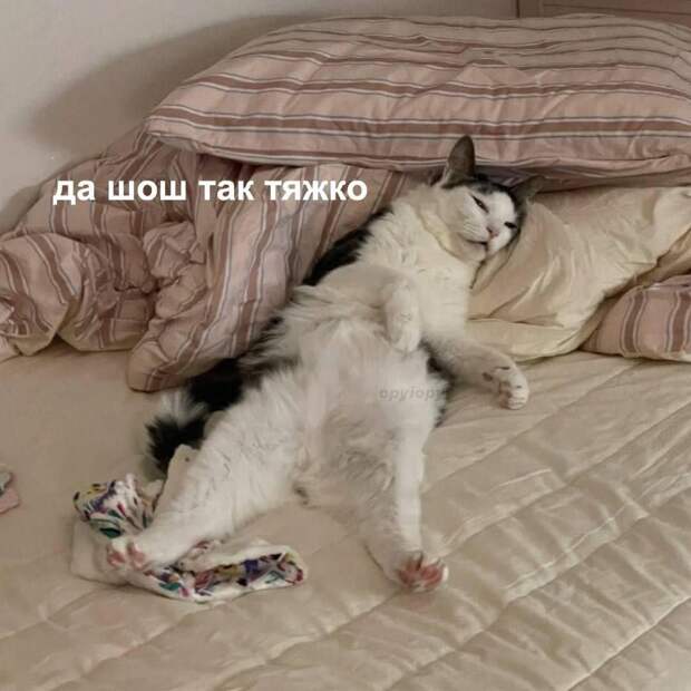 А еще только среда